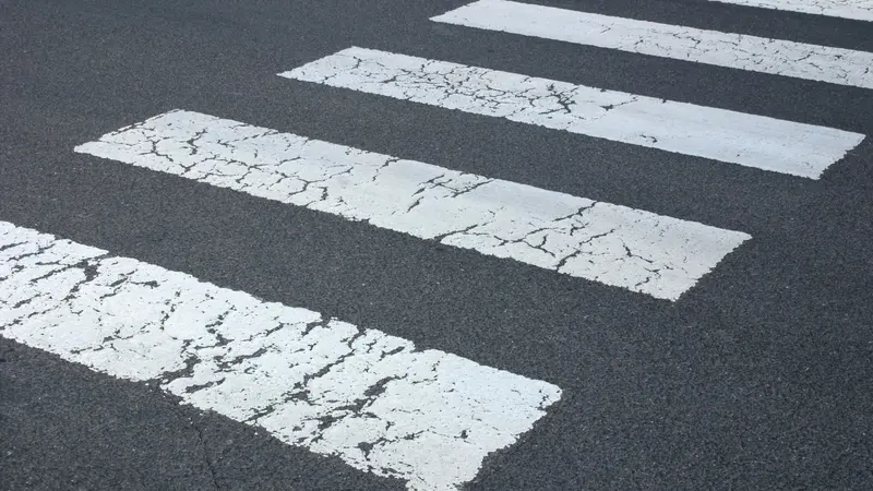 Vejdirektoratet afliver myte om elbiler