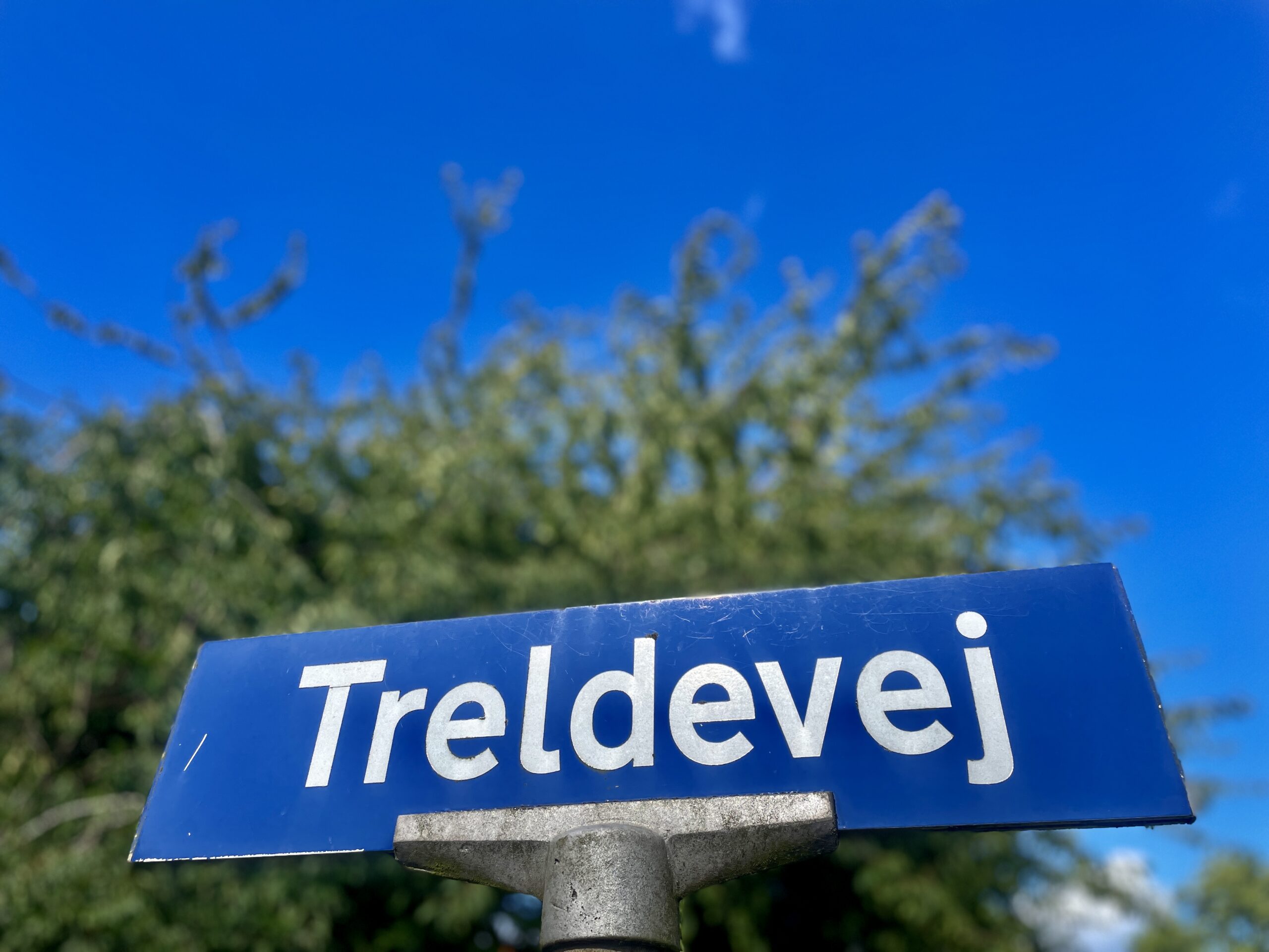 Bilist sigtet efter at have ramt fodgænger og hund på Treldevej