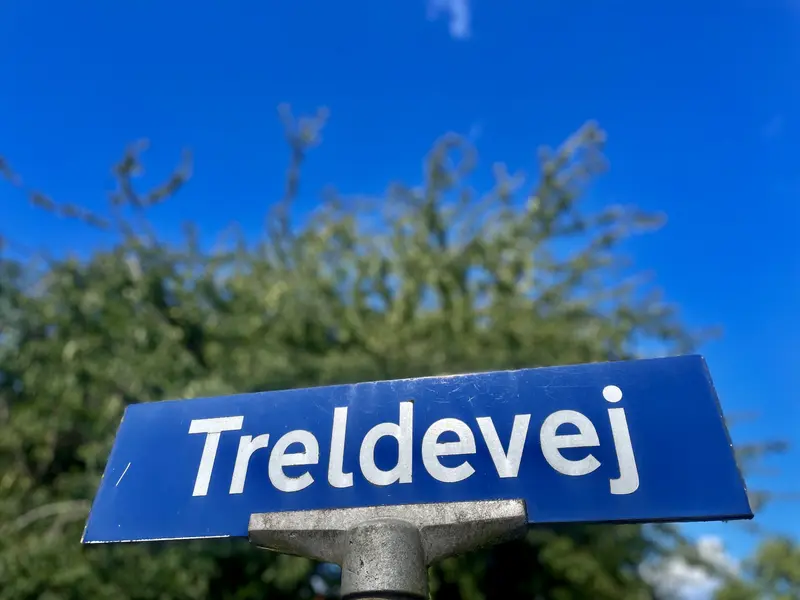 Bilist sigtet efter at have ramt fodgænger og hund på Treldevej