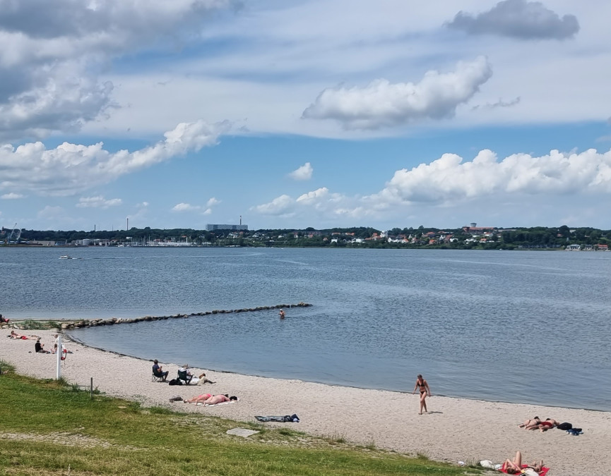 For høje værdier af tarmbakterier: Kolding Kommune fraråder badning ved Rebæk Strand