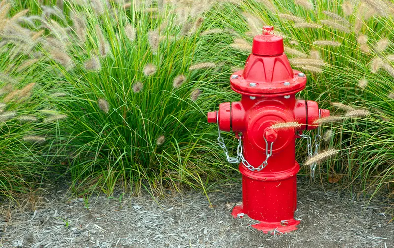 Ubrugte brandhaner kan være på vej væk