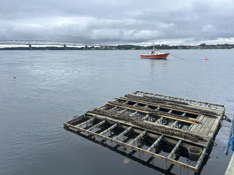 Bælthaven: Middelfarts grønne skattekammer i Lillebælt