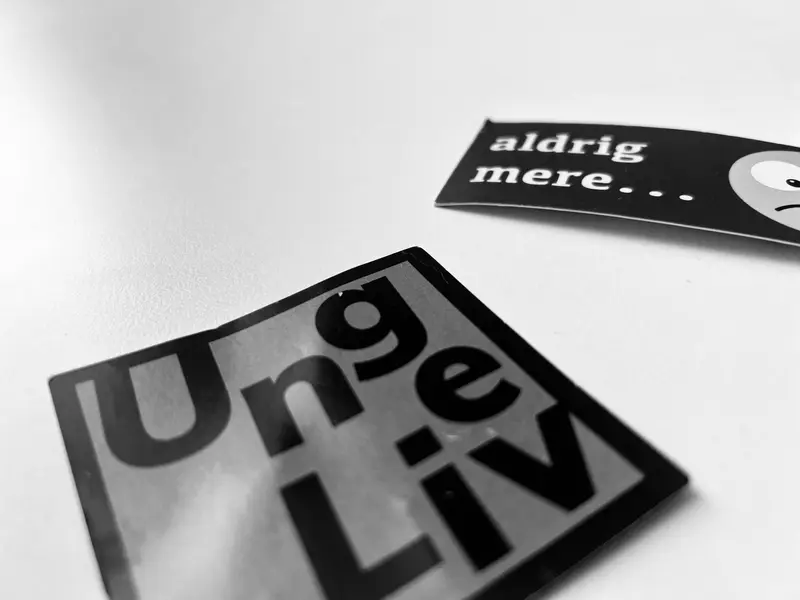 UngeLiv: Et værdifuldt tilbud til unge i Middelfart Kommune