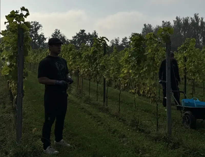Dansk vin vinder frem