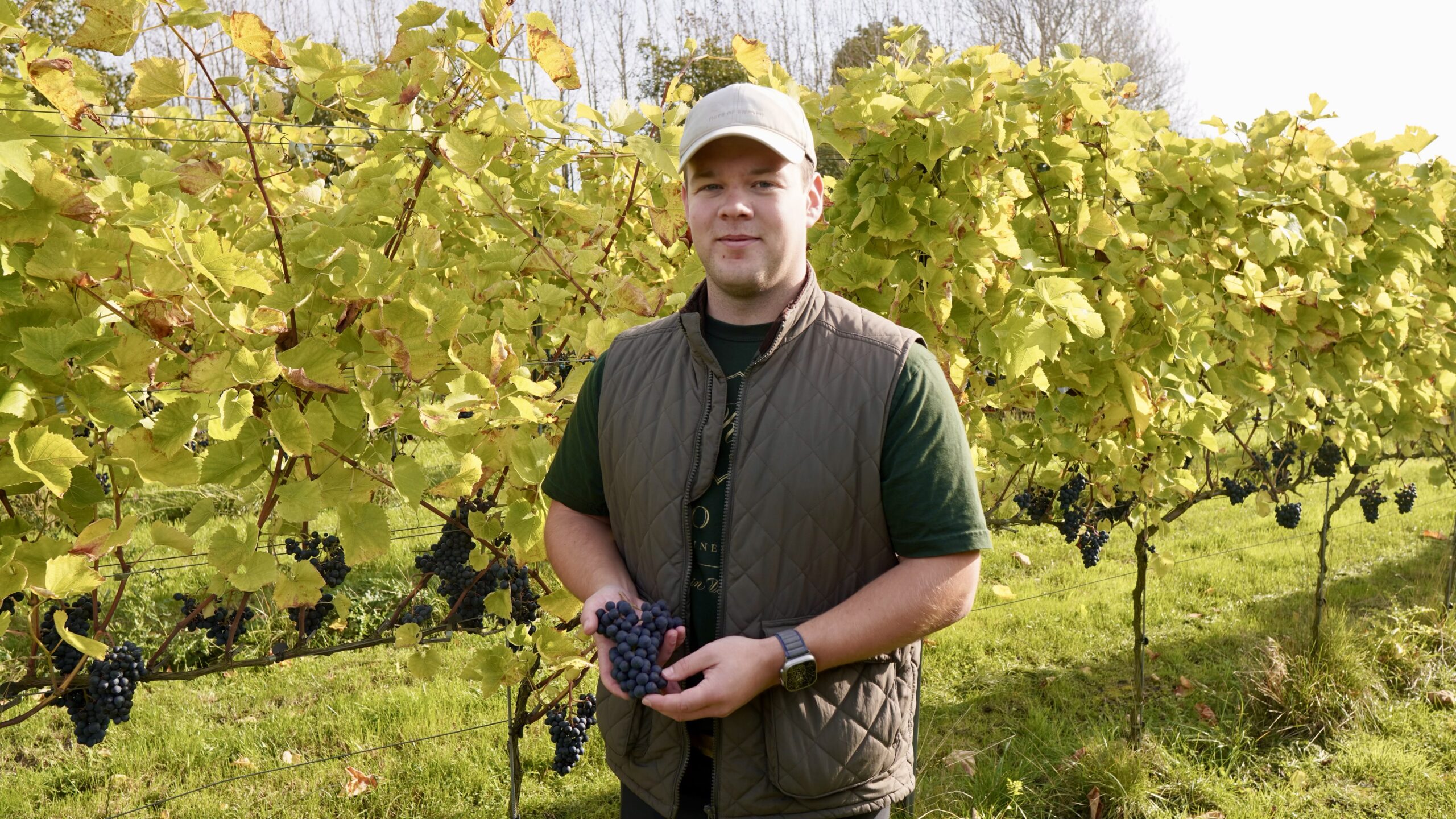 En høstfest hos Rose Winery