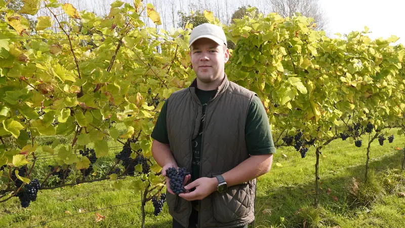En høstfest hos Rose Winery