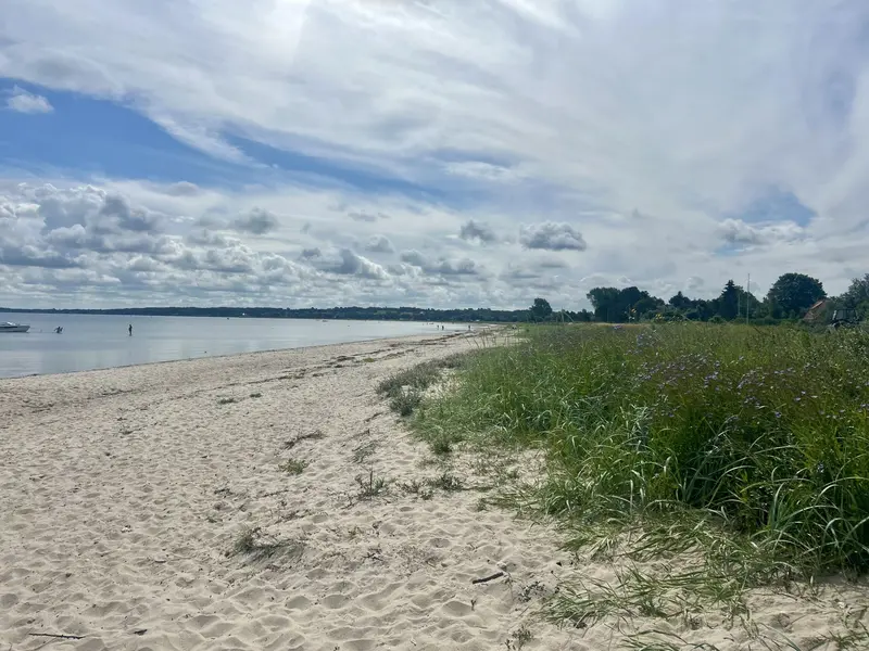 Borger- og byrådsmøde i Brenderup i aften