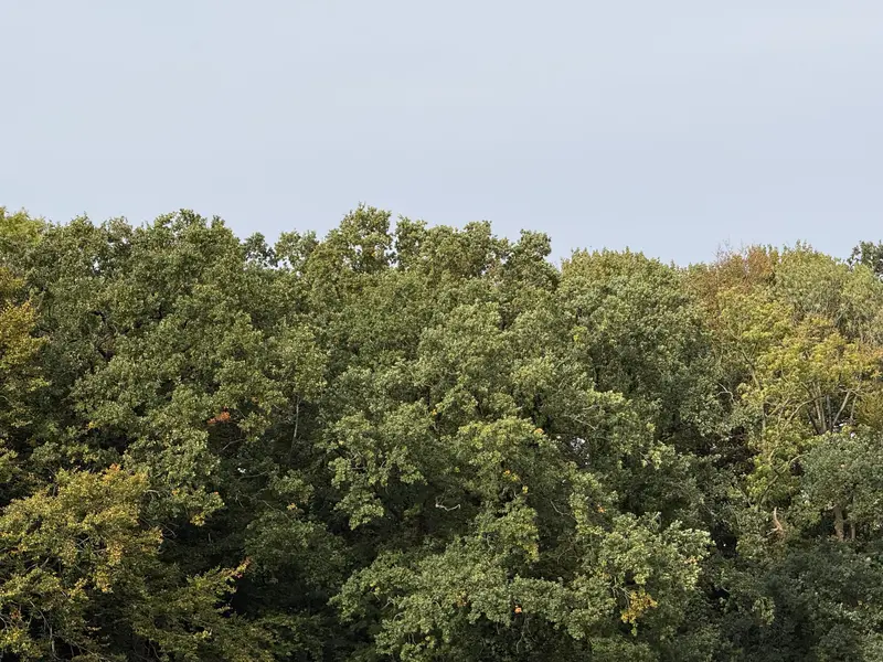 Dødsfald Fredericia 23. oktober 2024