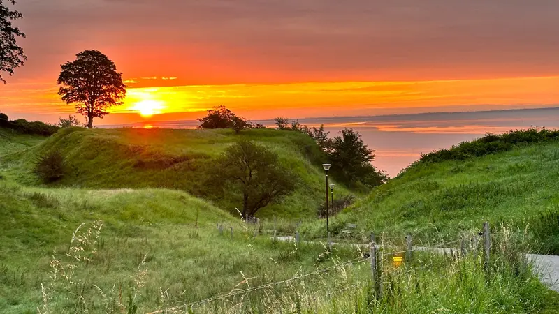 Ny naturstrategi vedtaget i Fredericia Kommune