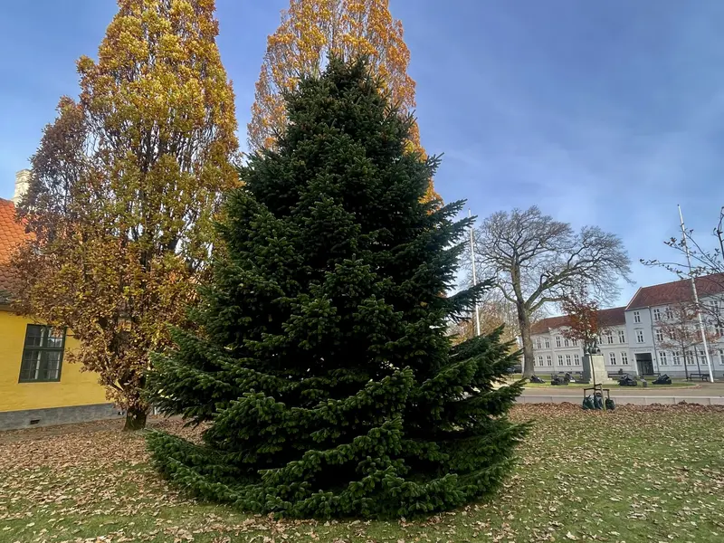 Julestemningen breder sig i Fredericia