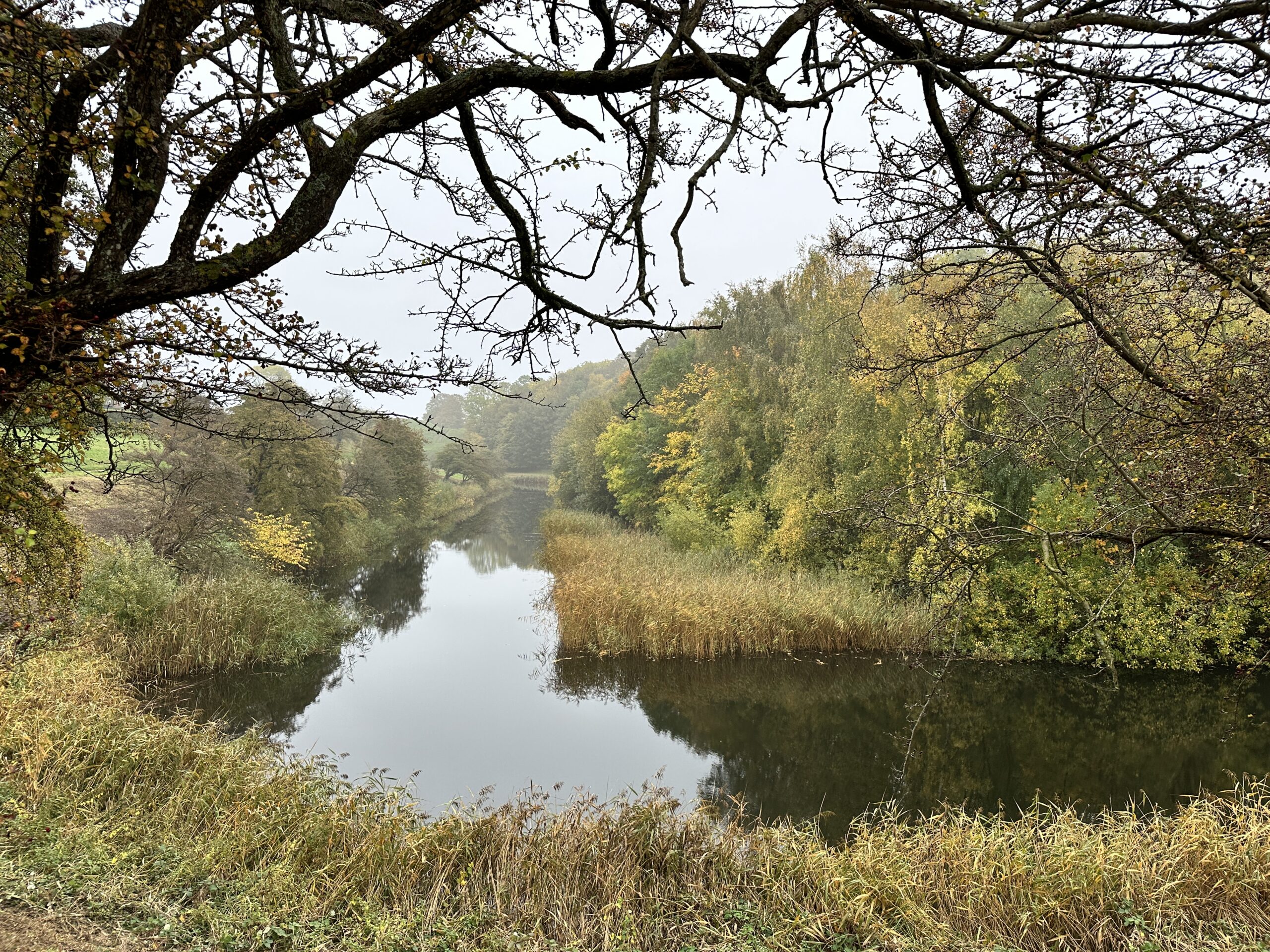 2,5 millioner til grønne projekter i Fredericia Kommune
