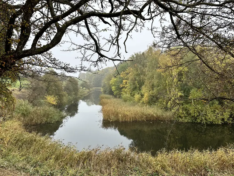 2,5 millioner til grønne projekter i Fredericia Kommune