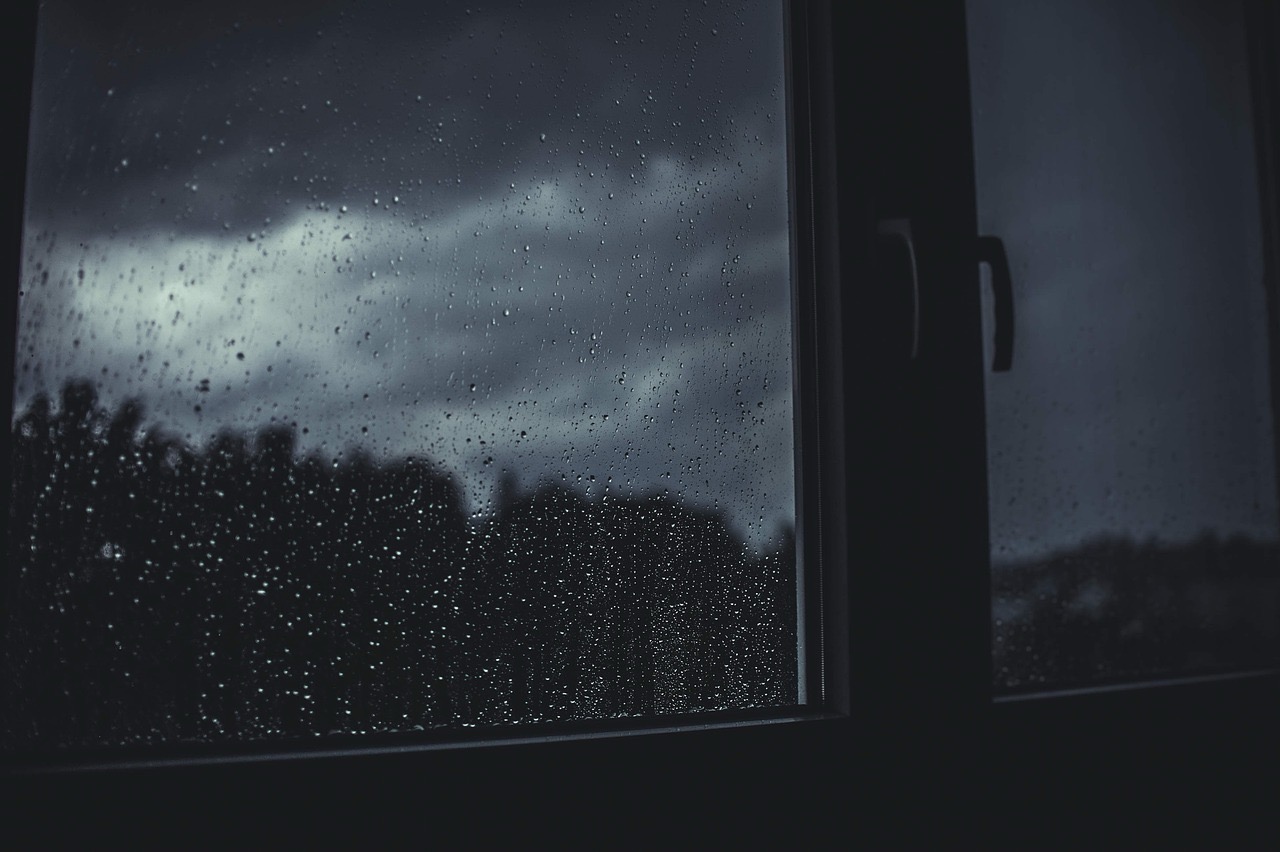 Op til 50 mm regn præger nytårsvejret