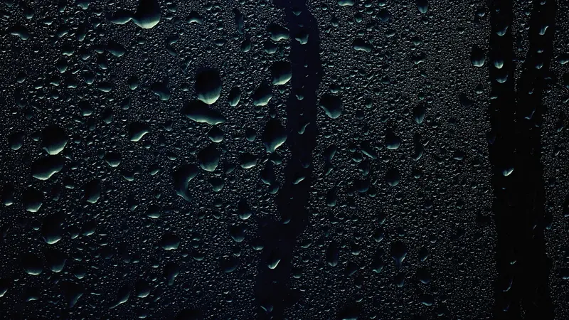 Nytårsvejret: Blæst, regn og måske sne i vente