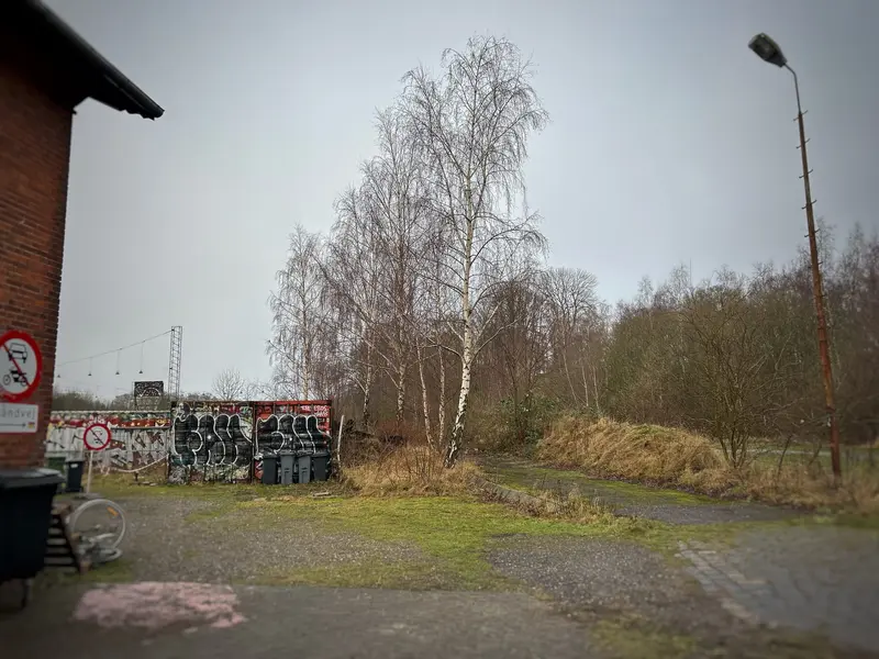 Ung mand sigtet for hashbesiddelse ved Ungdommens Hus