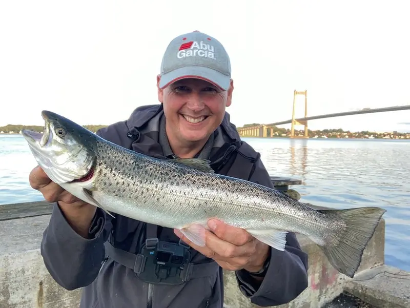 Ny app-funktion viser de bedste fiskepladser for havørred