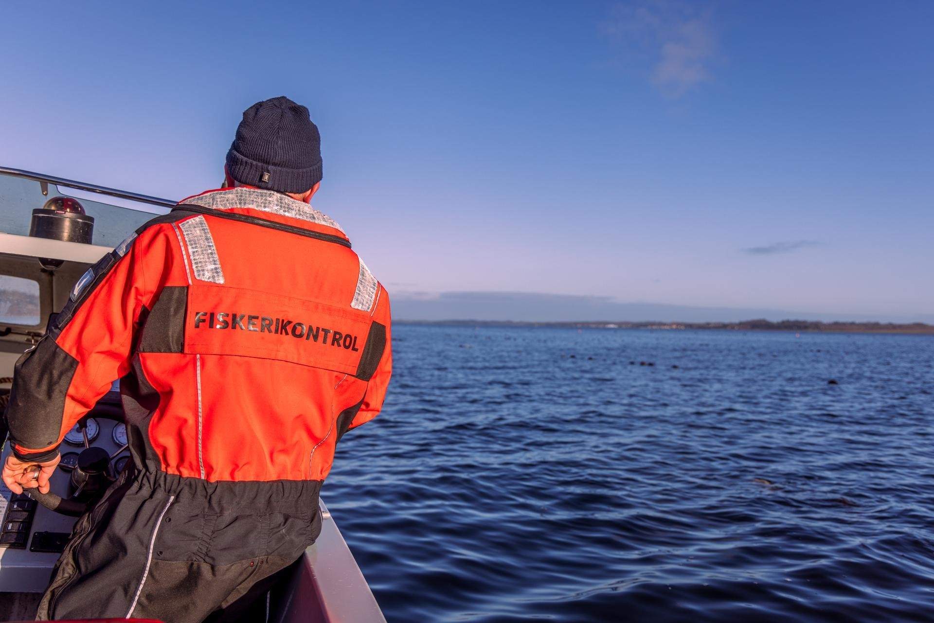 Fiskerikontrollen stiller skarpt på ulovligt fiskeri af stenbider