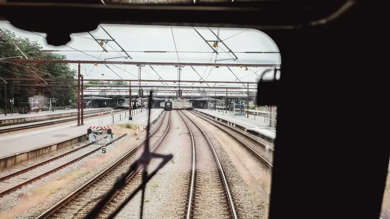 Ko påkørt af tog – togtrafikken var midlertidigt indstillet