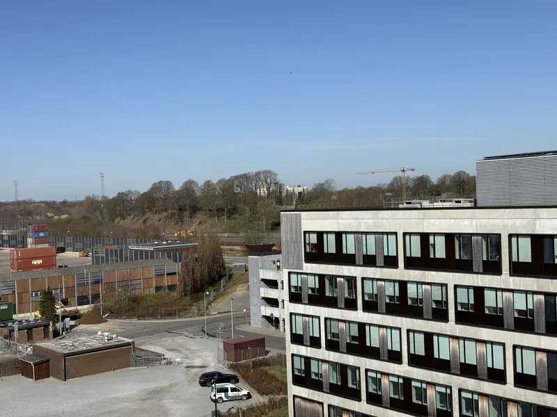 Erhvervsdirektør gør status: »Havnen bliver epicenter for vækst og grøn omstilling«