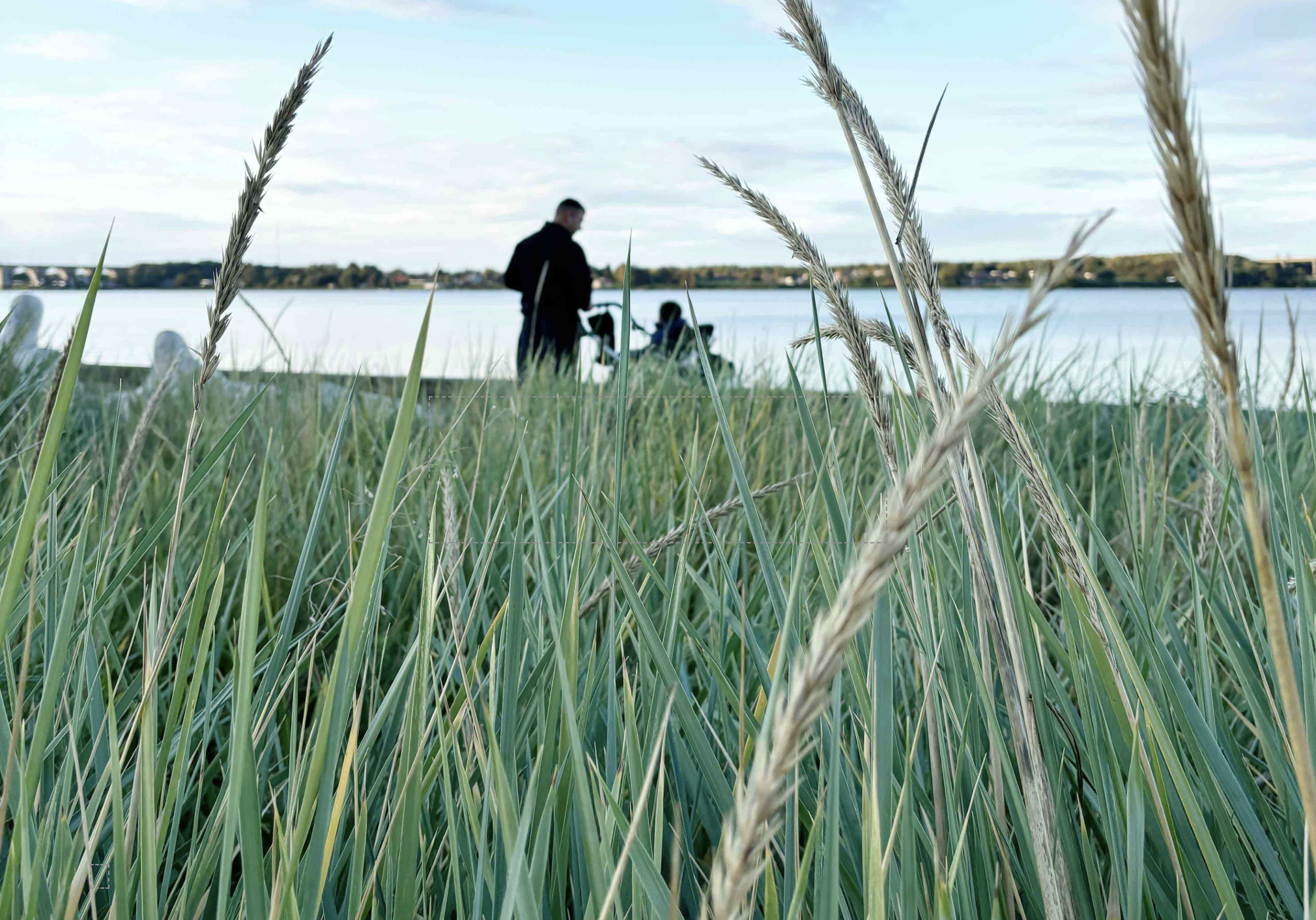 Middelfart Kommune godkender nyt regulativ for husholdningsaffald