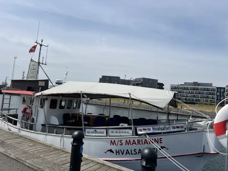 Kurt Østergaard elsker Lillebælt og marsvinene: »Alle skal have oplevelsen med«