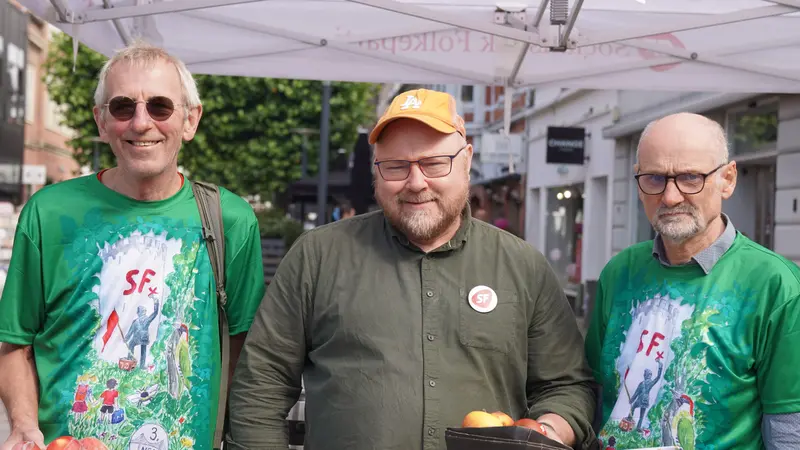 SF vil styrke folkeskolen og gøre Fredericia grønnere