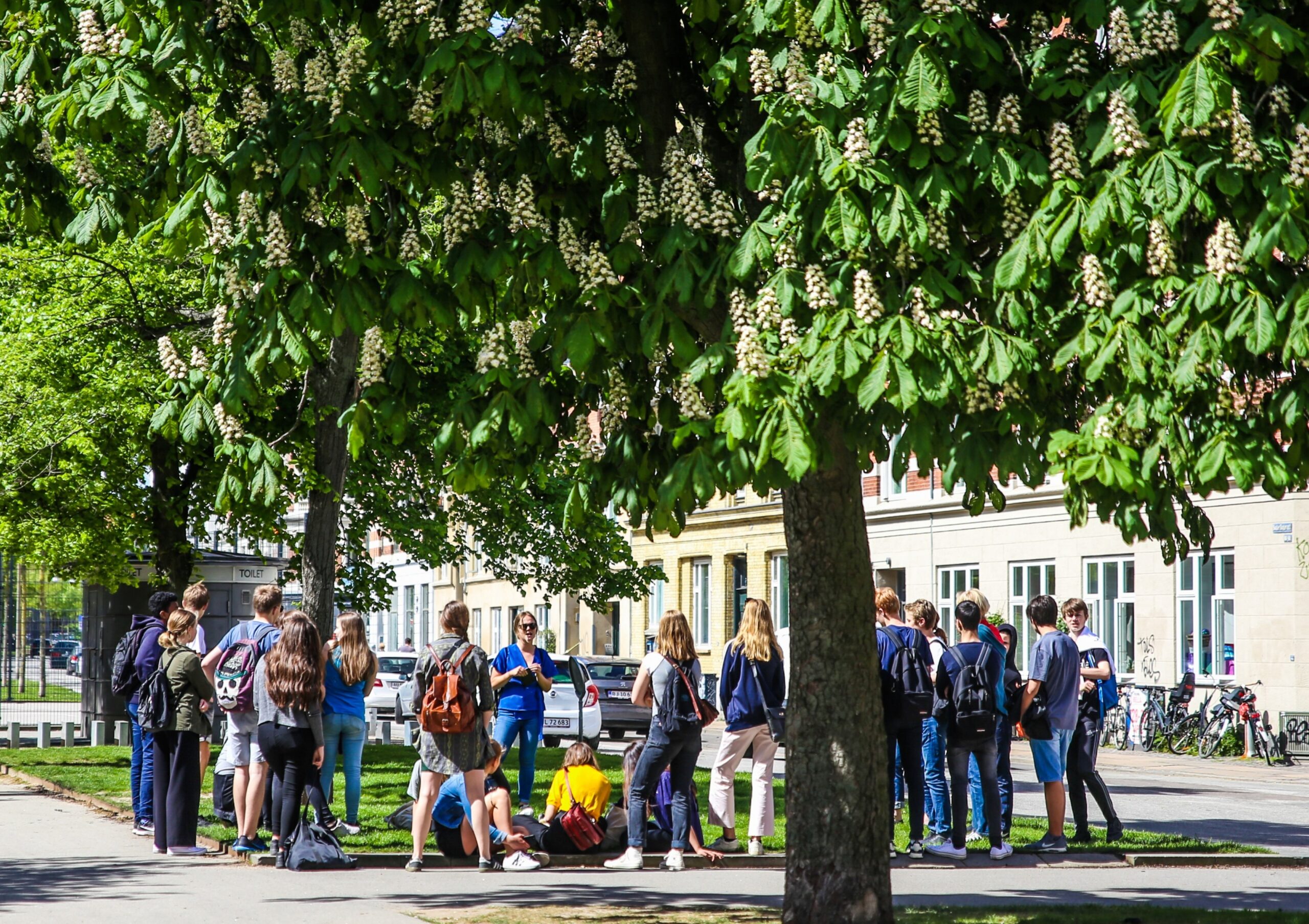 Middelfart tager nyt skridt mod grøn dannelse – børn og unge får nøglerollen