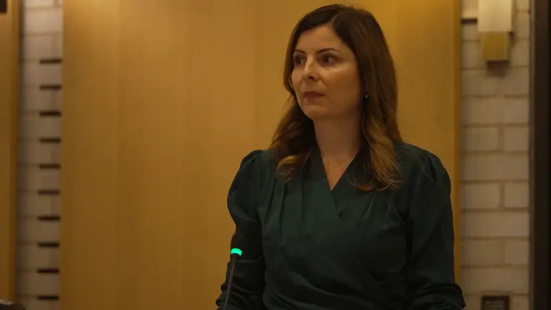 Cecilie Roed Schultz efterlyser svar fra fortalerne: »Jeg kan ikke forstå, at man bare blindt siger, at det ønsker man sig«
