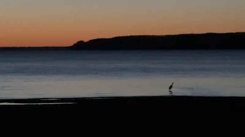 Fredericia er blevet god til fællesskab. Men fællesskab er ikke det samme som retning