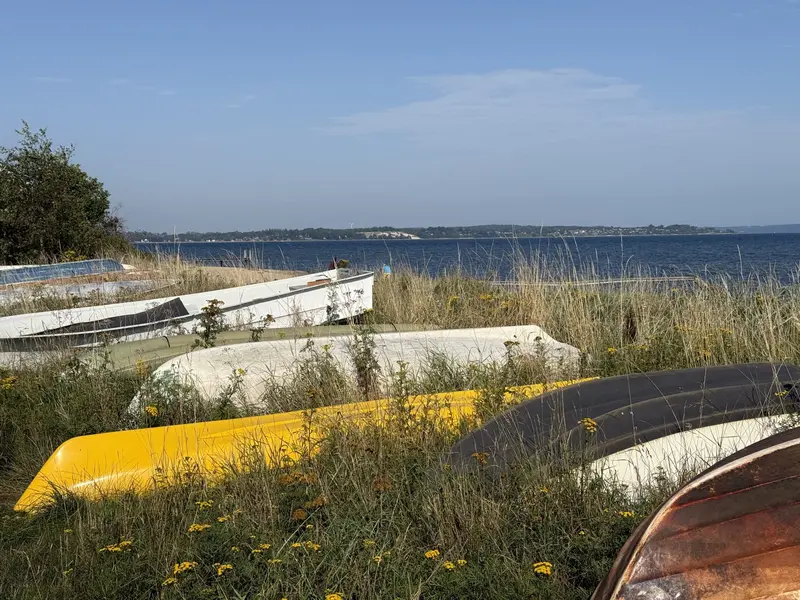 Fredericia vokser: Ny prognose forventer over 55.000 indbyggere i 2038