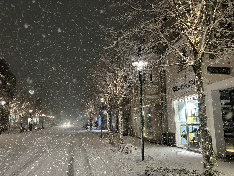 Snefygning lammer dele af den kollektive trafik i Middelfart