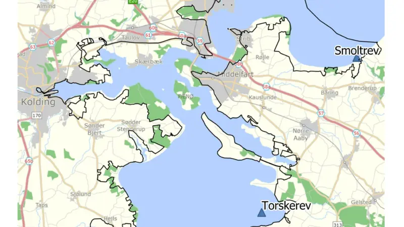 Torsken trives ved stenrevet i Tybrind Vig: Første resultater er lovende