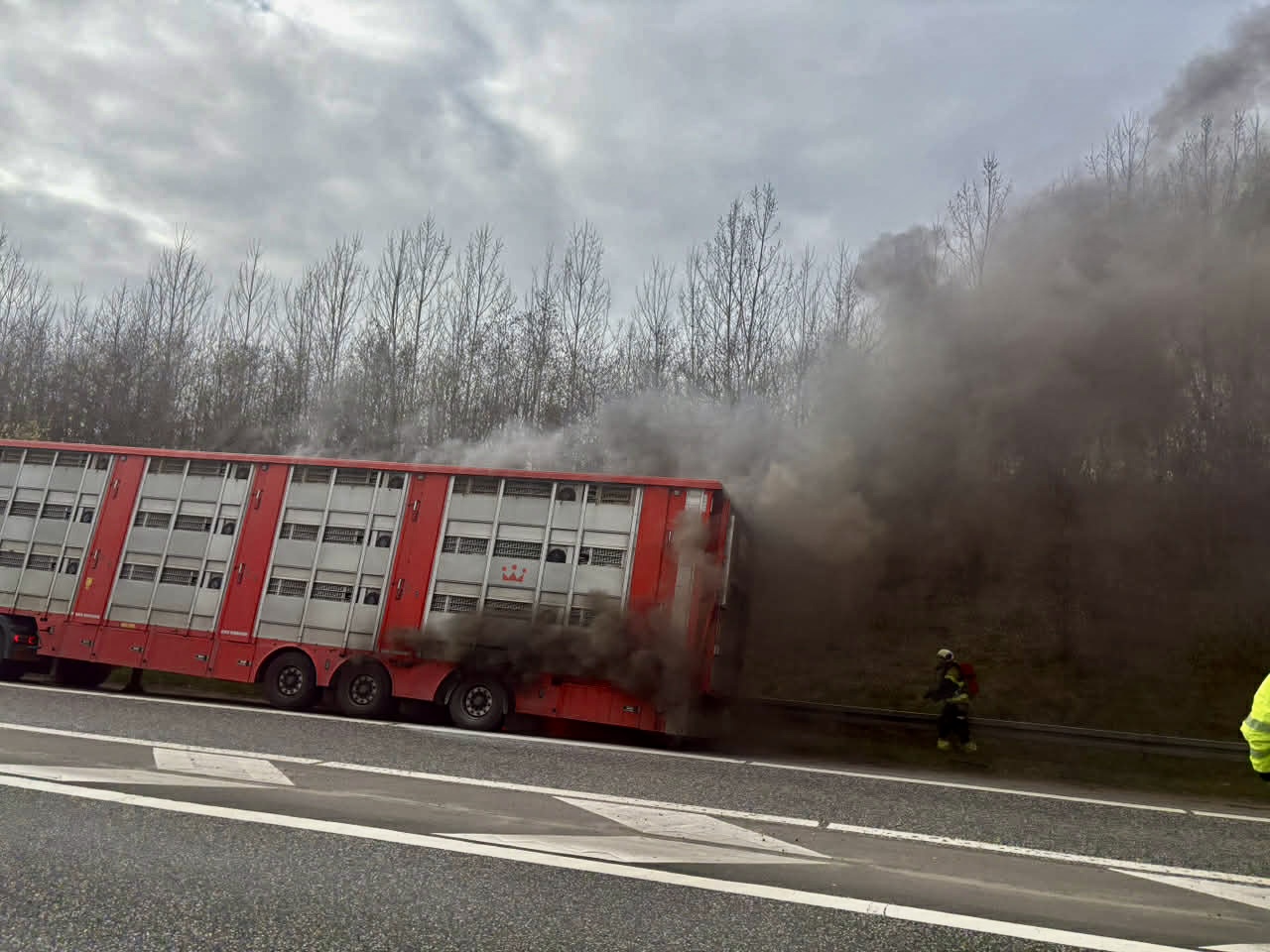 Brand i grisetransport ved Skærup: Kortvarig brand og grise omlæsses
