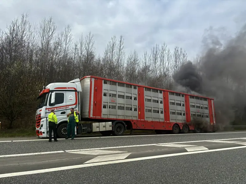Brand i dyretransporter på motorvejen