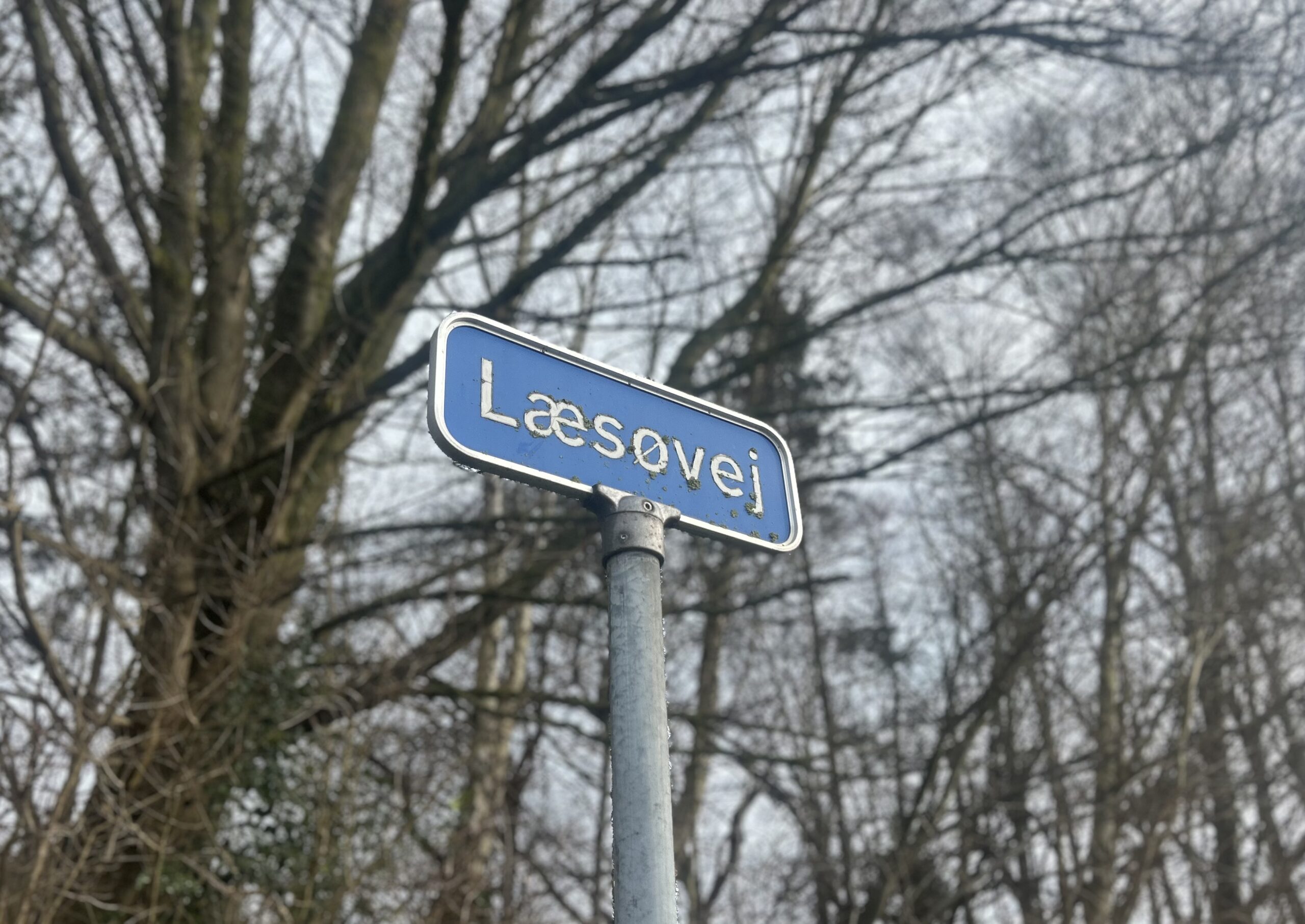 Forurenede grunde ved Læsøvej: Skal beboerne have adgang til domstolene?