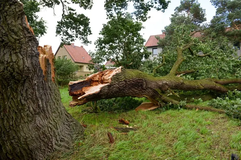 Forsikringsselskab ser tegn på stor stormregning efter Dave