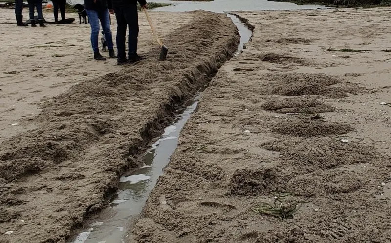Nyt dige skal beskytte 91 sommerhuse ved Varbjerg Strand