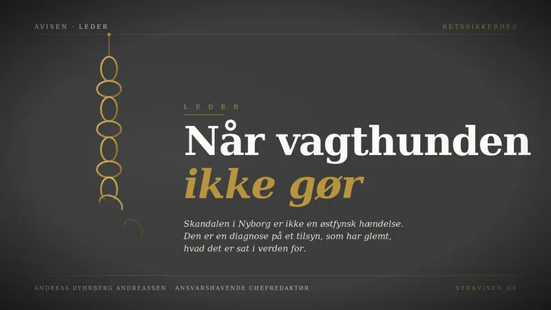 LEDER: Når vagthunden ikke gør