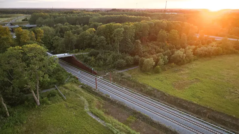 Elektrificeringen af jernbanen forventes at blive forsinket