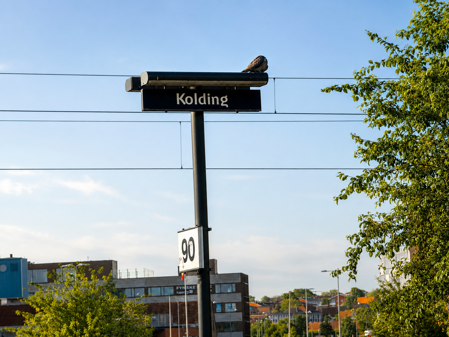 Kvinde død efter påkørsel af tog ved Kolding: Strækningen er åben igen
