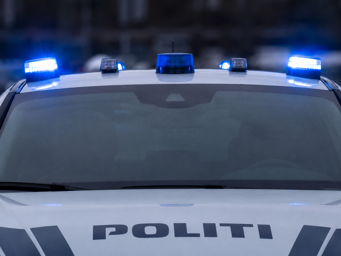 Levende dyr på E20 mellem Taulov og Kolding: Pas på