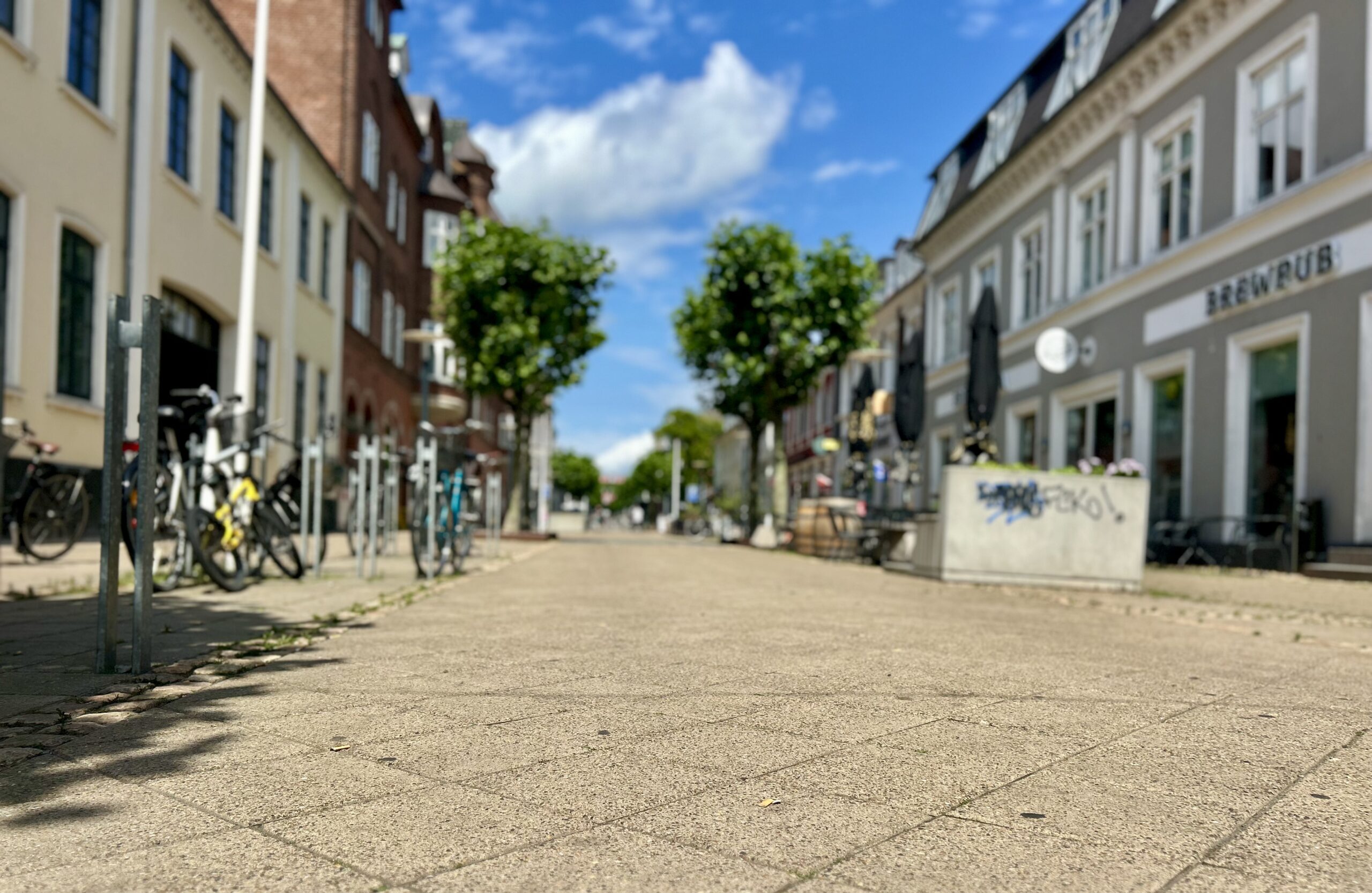 Turister mødtes på midten i Fredericia: »Det kan vi kun anbefale«