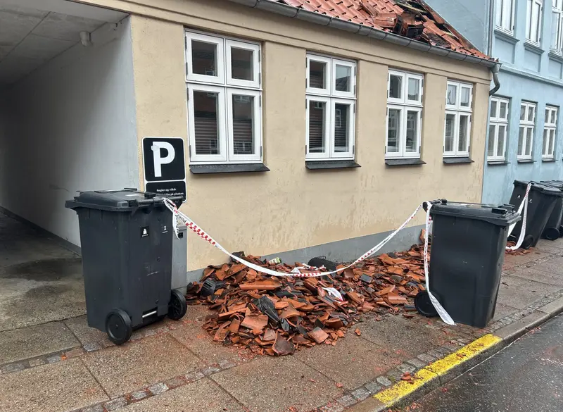 Naboer klatrede op på affaldscontainere og fik familie og hunde i sikkerhed
