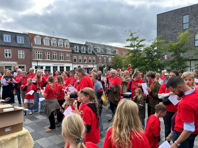Middelfart Demostration3.jpeg