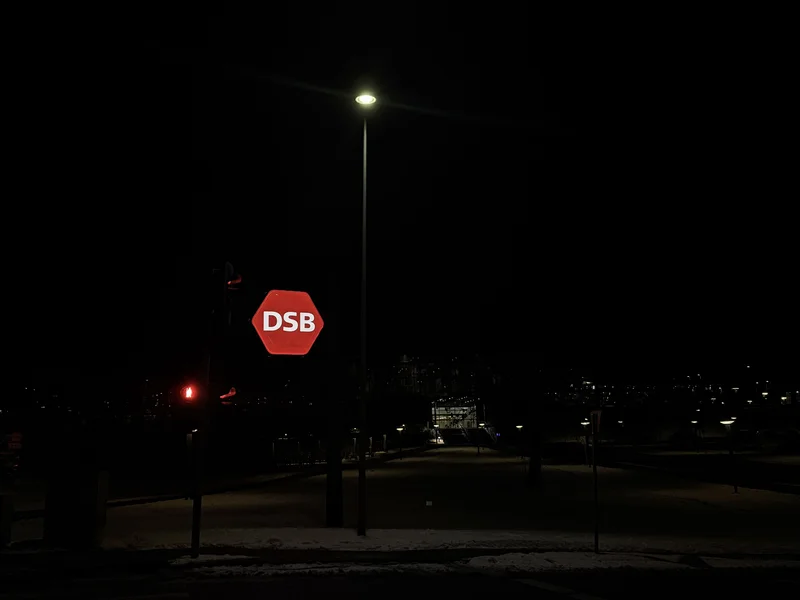 Væltet træ stopper togene mellem Vejle og Fredericia