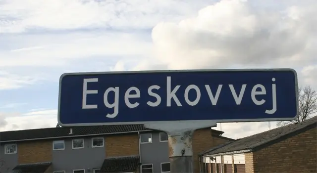 Ung knallertkører alvorligt skadet i solouheld