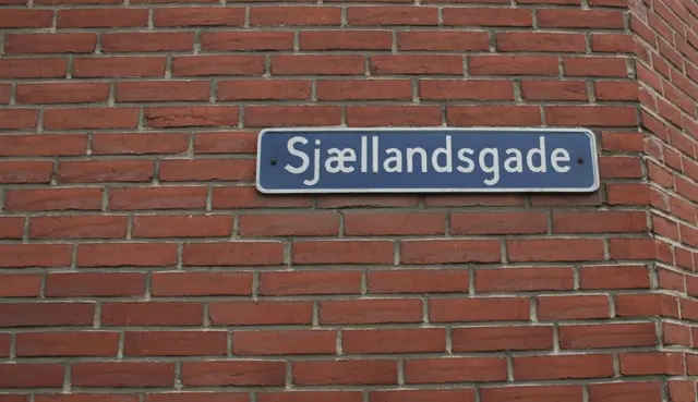 Politiet fanger indbrudstyv på stedet