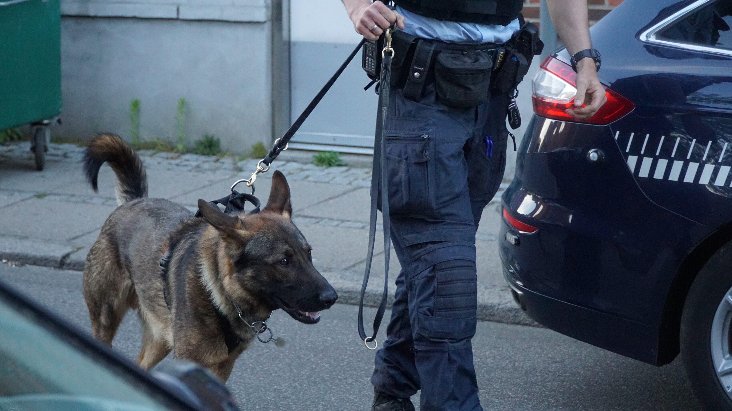 Ung mand med gaspistol i Kolding Storcenter