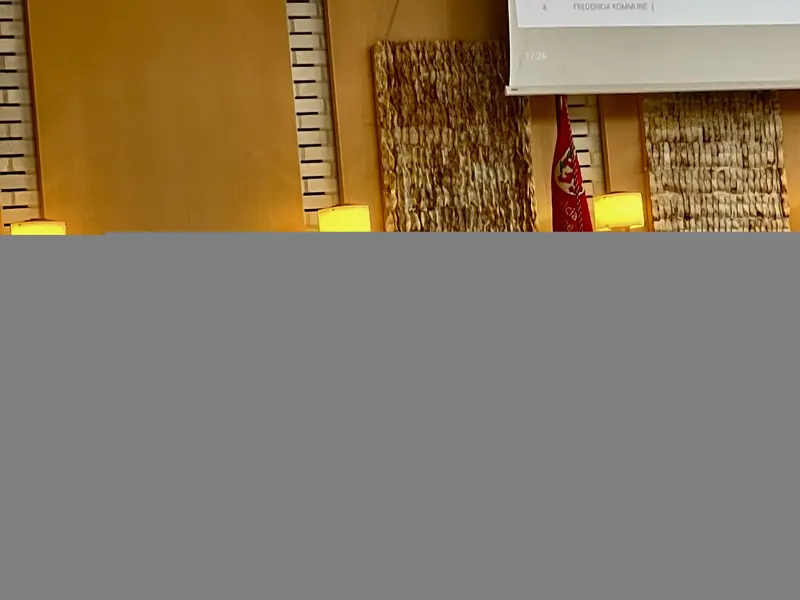 Eilersen frustreret over budgetoverskridelser