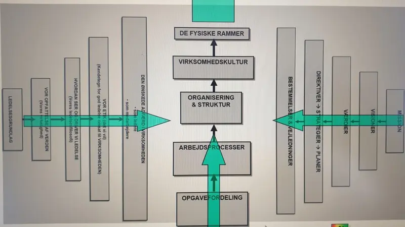 Processer i Ledelses- og organisationsudvikling